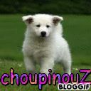 choupinouZ