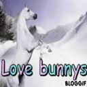 love bunnys