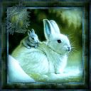 lapine@