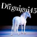 Dfi'guigui45