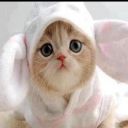 catigrile