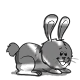 pokolo