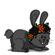 ★ Hana