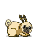 Doug the Pug