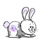 ★ Ohayō