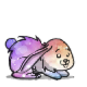Lapin