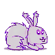 Raya la Rattata