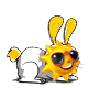 Soleil308,27