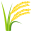 :ear_of_rice: 🌾