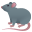 🐀