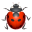 🐞