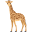 🦒