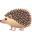 🦔