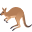 🦘