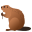 🦫