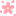 fleur-cerisier