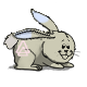 Lop