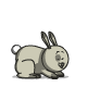 lapin/panda/lapin-gris.png