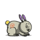 imm