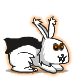 lapin/super-dracula/lapin-orange.png