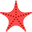 etoile-mer-rouge