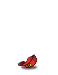 personnage/tortue-petit-2.png